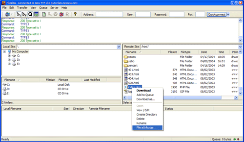 CHMOD permissions dialog box