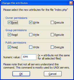 CHMOD permissions dialog box detail